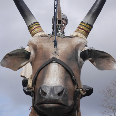 Les Vaches Sacrées