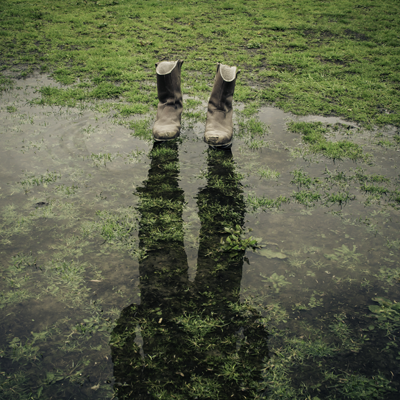 Le monde sous les flaques